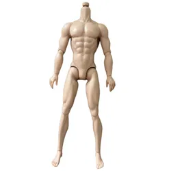 32cm Original Adonis Muscle Doll Body 1/6 Joints Movable Tan Skin Color Man Scale Mannequin Limited Collections For IT/KEN Heads