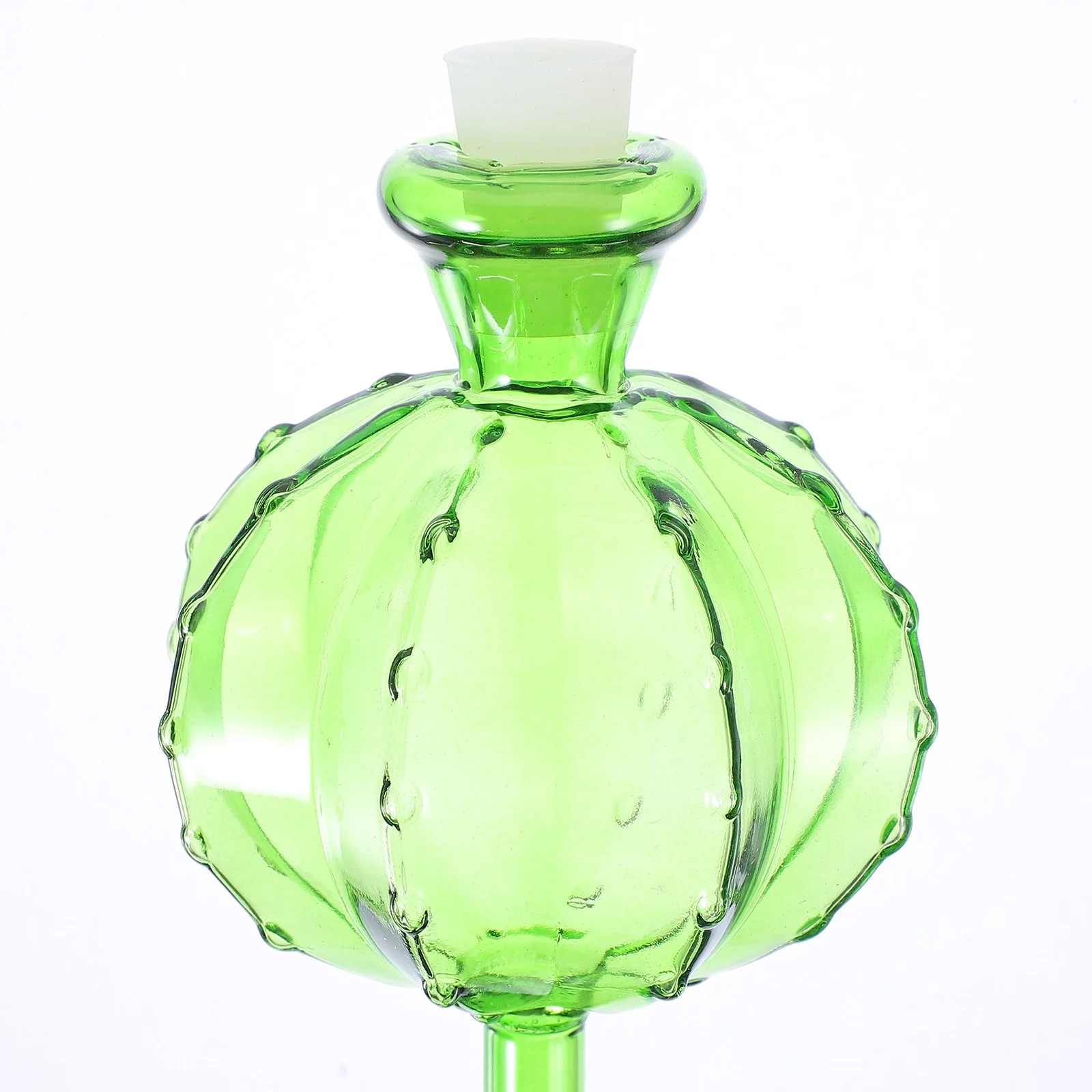 

Self Watering Glass Globe Automatic Plant Watering Bulb for Indoor Outdoor Potted Plants Flower Irrigation Self-Watering Globe