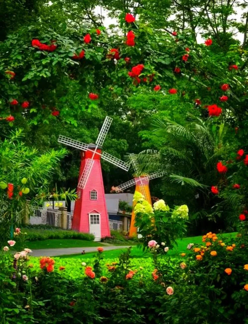 Silicone Storage Bo… - image