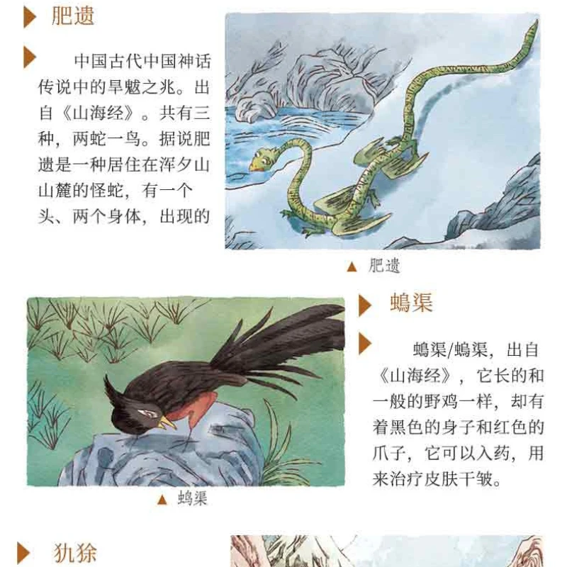 Classique illustré des montagnes et des mers : doit lire les livres pour les élèves du primaire de quatrième année à l'extérieur de la classe