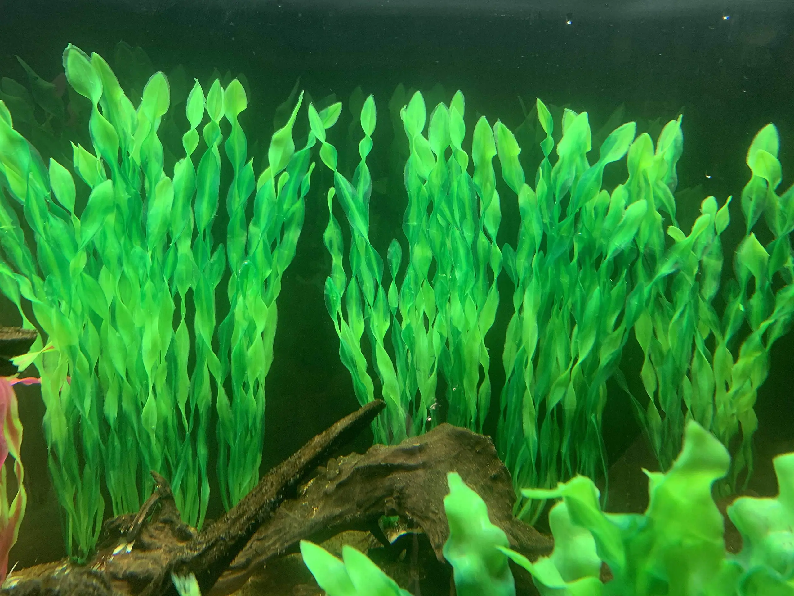 5/10szt Plastikowe rośliny akwariowe Dekoracje akwariowe Sztuczne wodorosty Trawa wodna Rośliny podwodne do ozdoby akwariowej