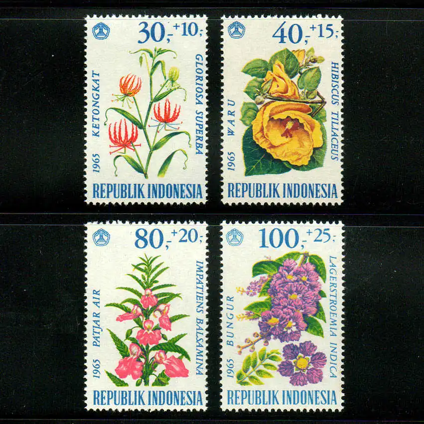 4Pcs/Set New Indone…