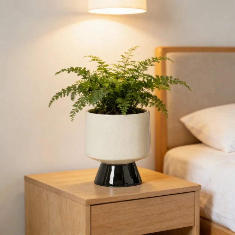 Simple Luxury Ceramic Phalaenopsis Pot Retro High Foot Design Advanced Sense Indoor Special Planter for Green Plants Decoration