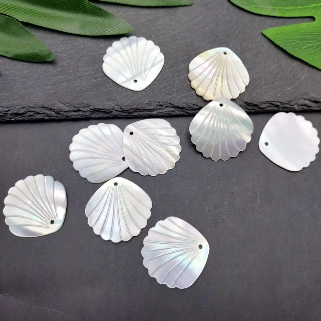 10pcs Natural Shell Charms for Jewelry DIY Making
