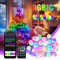 USB Bluetooth Colorful LED Bulb String Light 5M 10M 33/66Led Festoon Fairy Light Christmas Tree Outdoor Garden Decor LED Garland