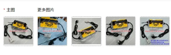 Charger 12v24v20a, stacker crane, forklift, floor scrubber, charger 24V15A