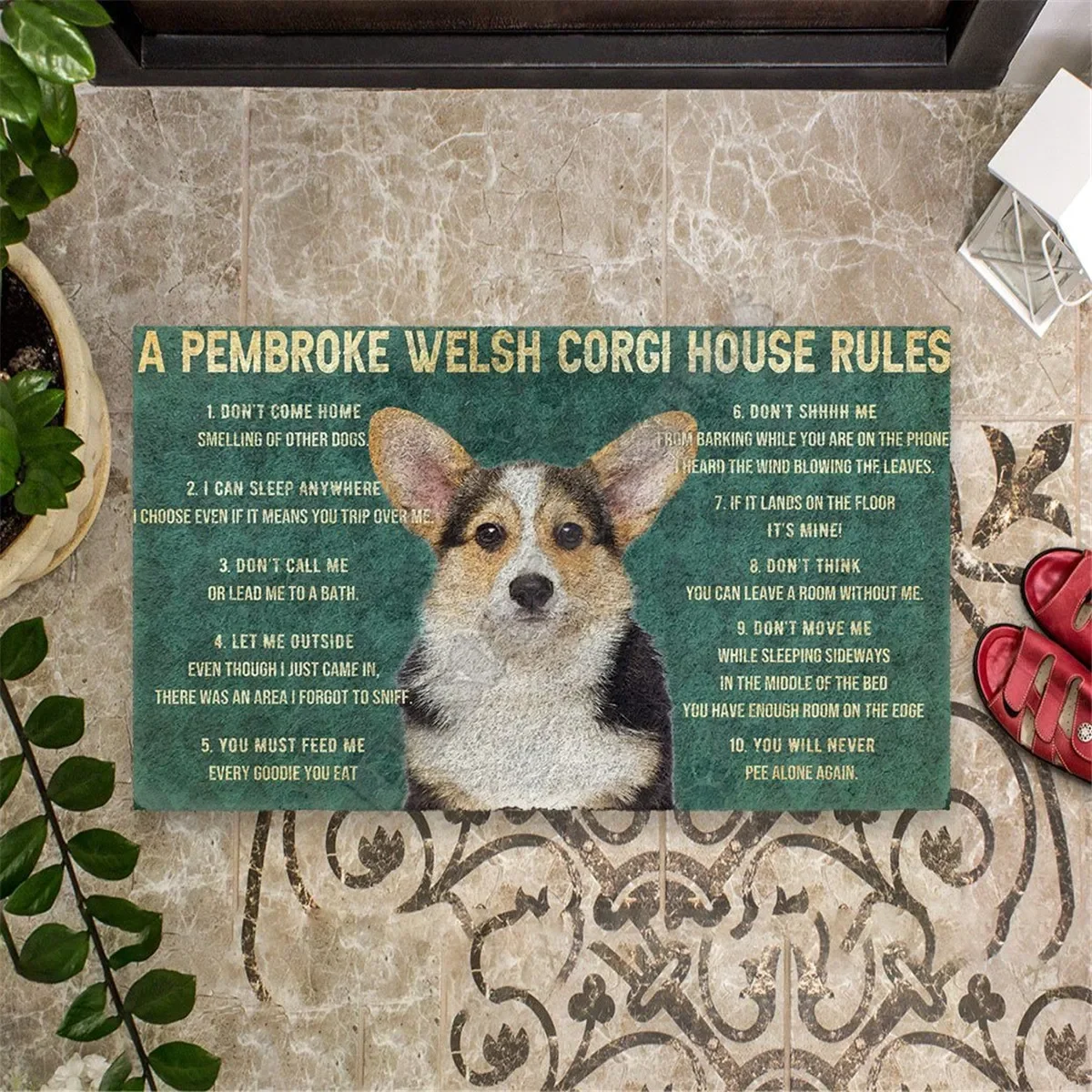 3D house rules Pembroke Welsh Corgi dog Doormat Non Slip Door Floor Mats Decor Porch Doormat