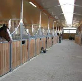 Complete Horse Breeding Kit Indoor Stable Bamboo Wood Fresh Nature Premium Customized Size  horse stable horse boxes