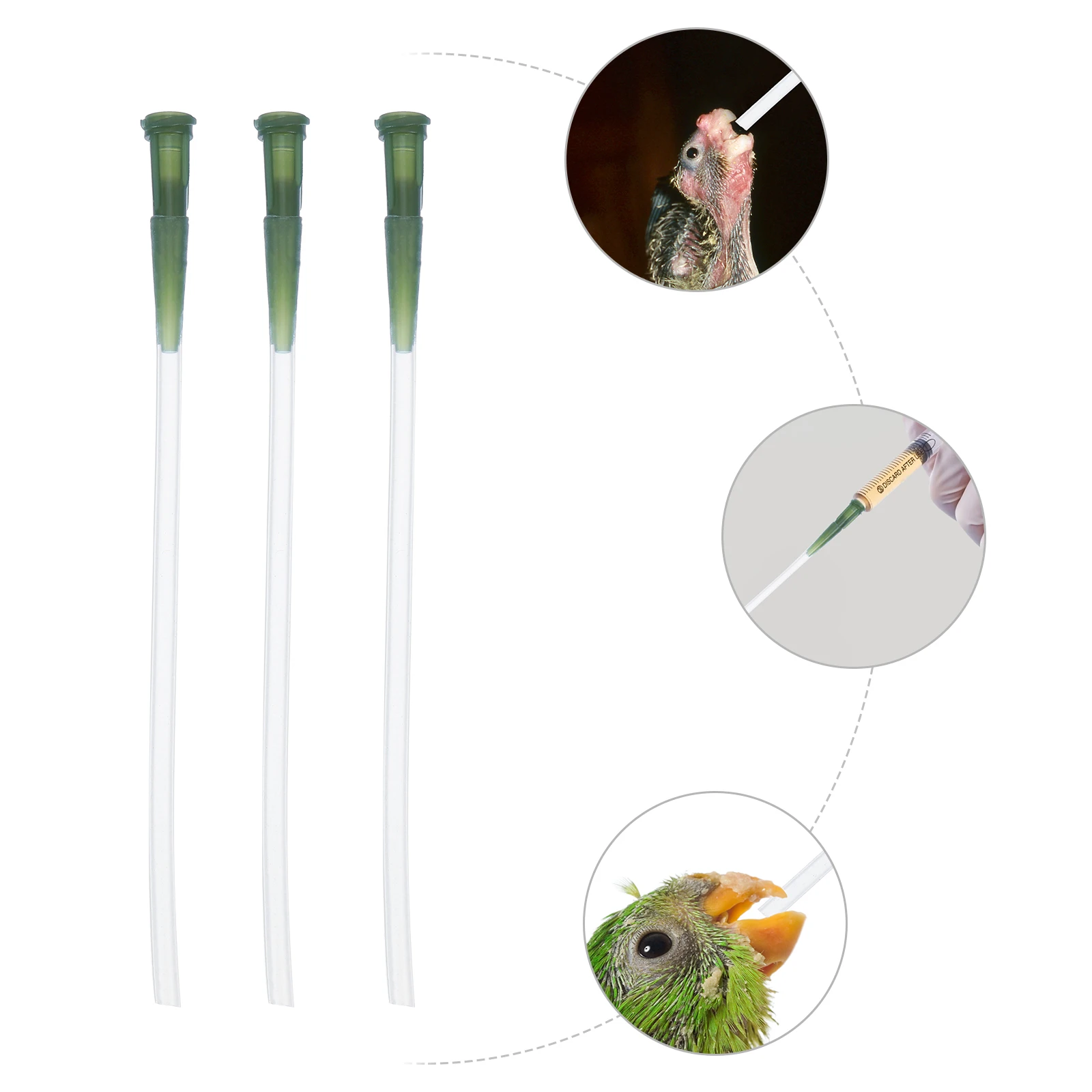 

3 Pcs Feeding Hose Baby Birds Food Grade Soft Tube Parrot Nutrition Tool 3 4mm Random Color Pet Supplies Birds Feeding Parts