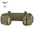 Type 1 FG