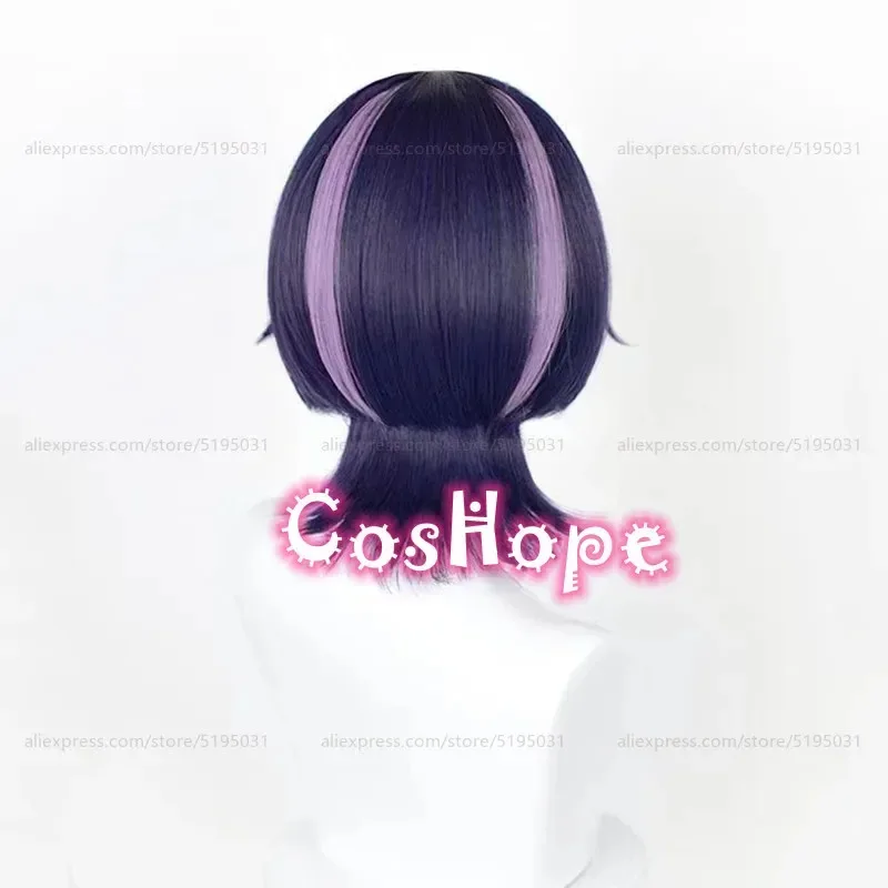 

Scaramouche Косплей Парик Странник Парик Синий Фиолетовый Черный Парик Косплей Аниме Косплей Парики Термостойкие Синтетические Парики FCF CDVBZXDHV