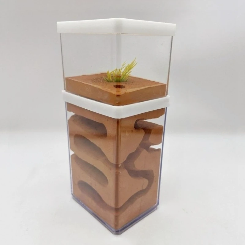 

Муравьиная ферма двухъярусная с зоной активности, увлажняющая, экологичная, для содержания муравьев, принадлежности для разведения муравьев