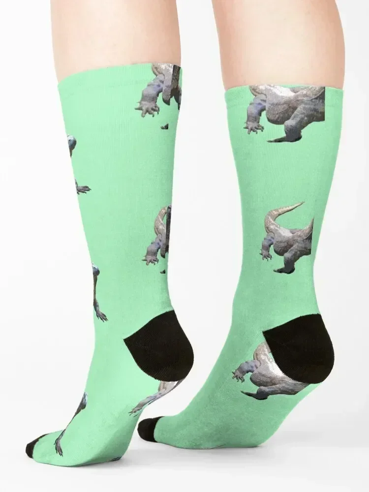 Komodo Dragon Color Print Socks winter gifts funny gifts loose funny gift Socks For Man Women's