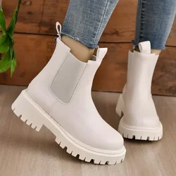 2024 Shoes Female Zipper Women Boots Autumn Winter Round Toe Solid Short Barrel Low-heeled Large Size  Boots