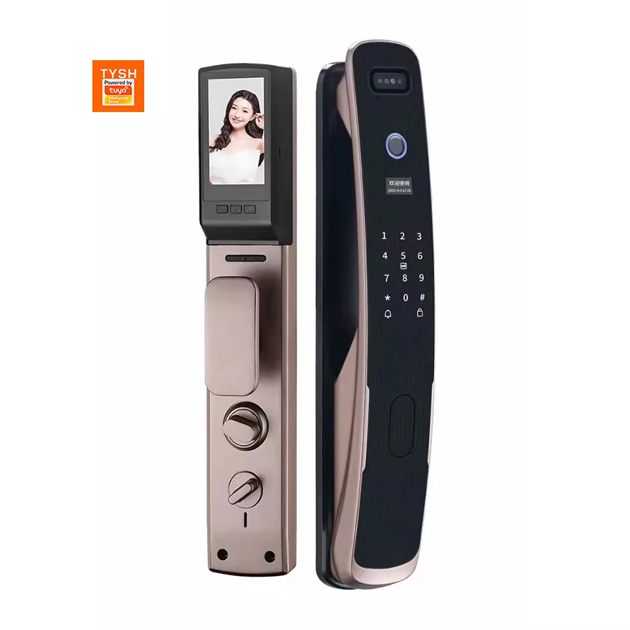 

STLF Fully Automatic Biometric Fingerprint Lock Digital Smart Tuya App Controlled Wifi Mortise Electronic for Wood Cloud