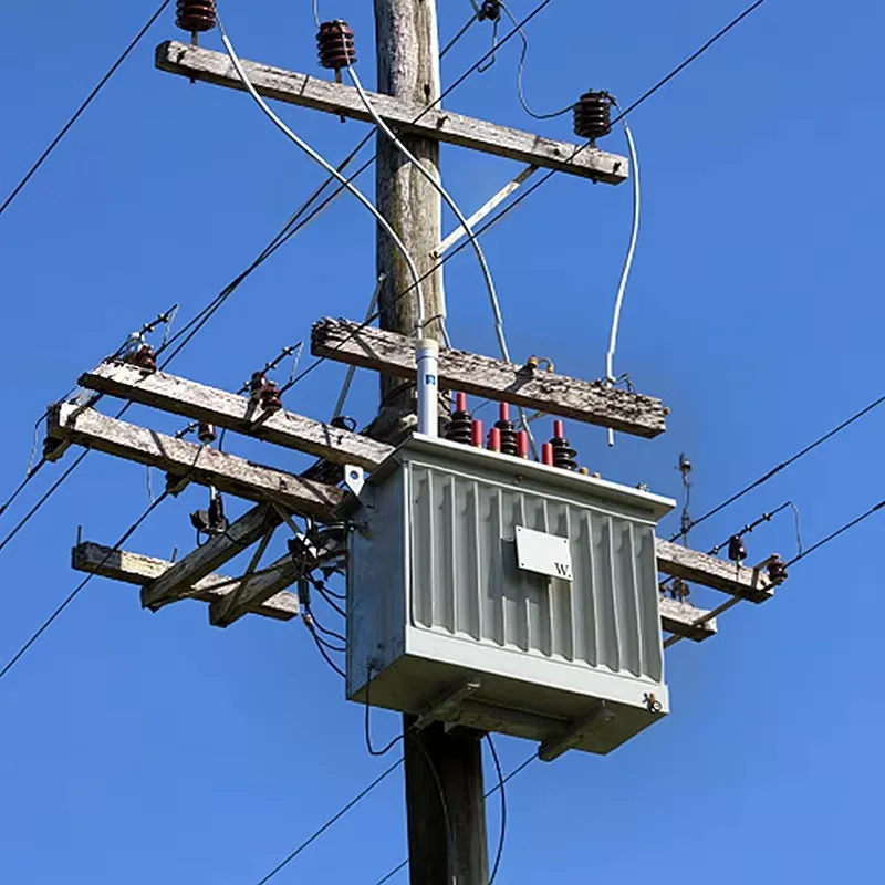 Three Phase Oil Immersed MV&HV Transformer Supplier S22 80kVA 200kVA 1250kVA Power Transformer Customized MV&HV Transformers
