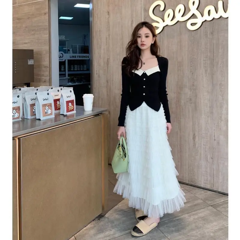 High End Mesh Half Skirt for Women in Spring and Summer 2024 New High Waisted Layered Cake Skirt, Medium Length Skirt