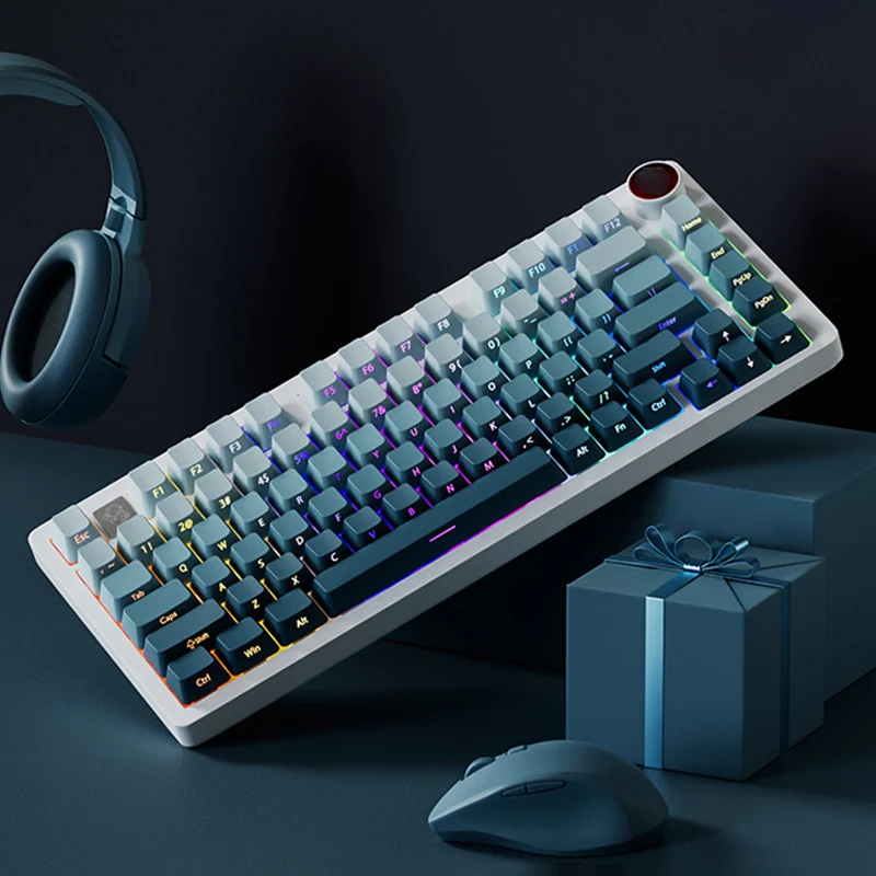 PBT Double Shot Keycaps OEM Profile 135 Keys Gradient Color Side Printed Shine Through Keycaps for Gateron MX Switches Keyboard