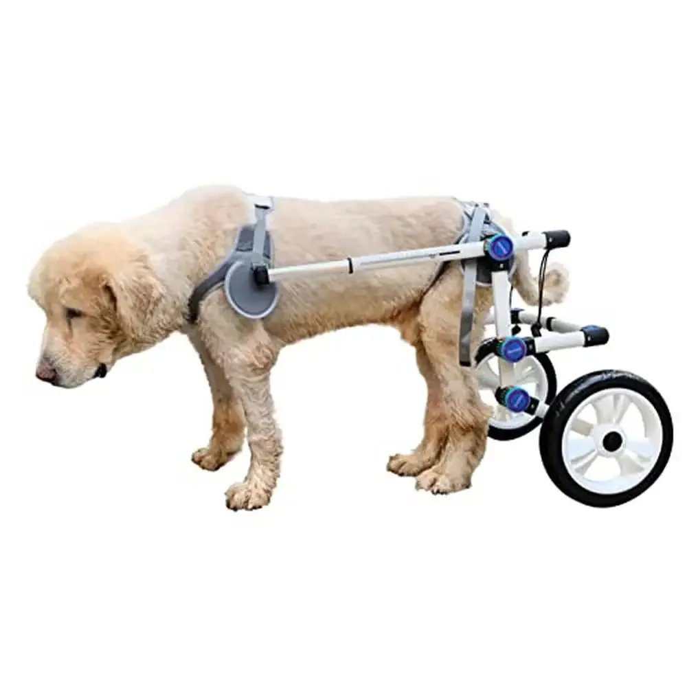 Adjustable Foldable Pet Wheelchair Large Dogs with Hind Leg Injuries XL White Easy Assembly Lightweight and Durable Design