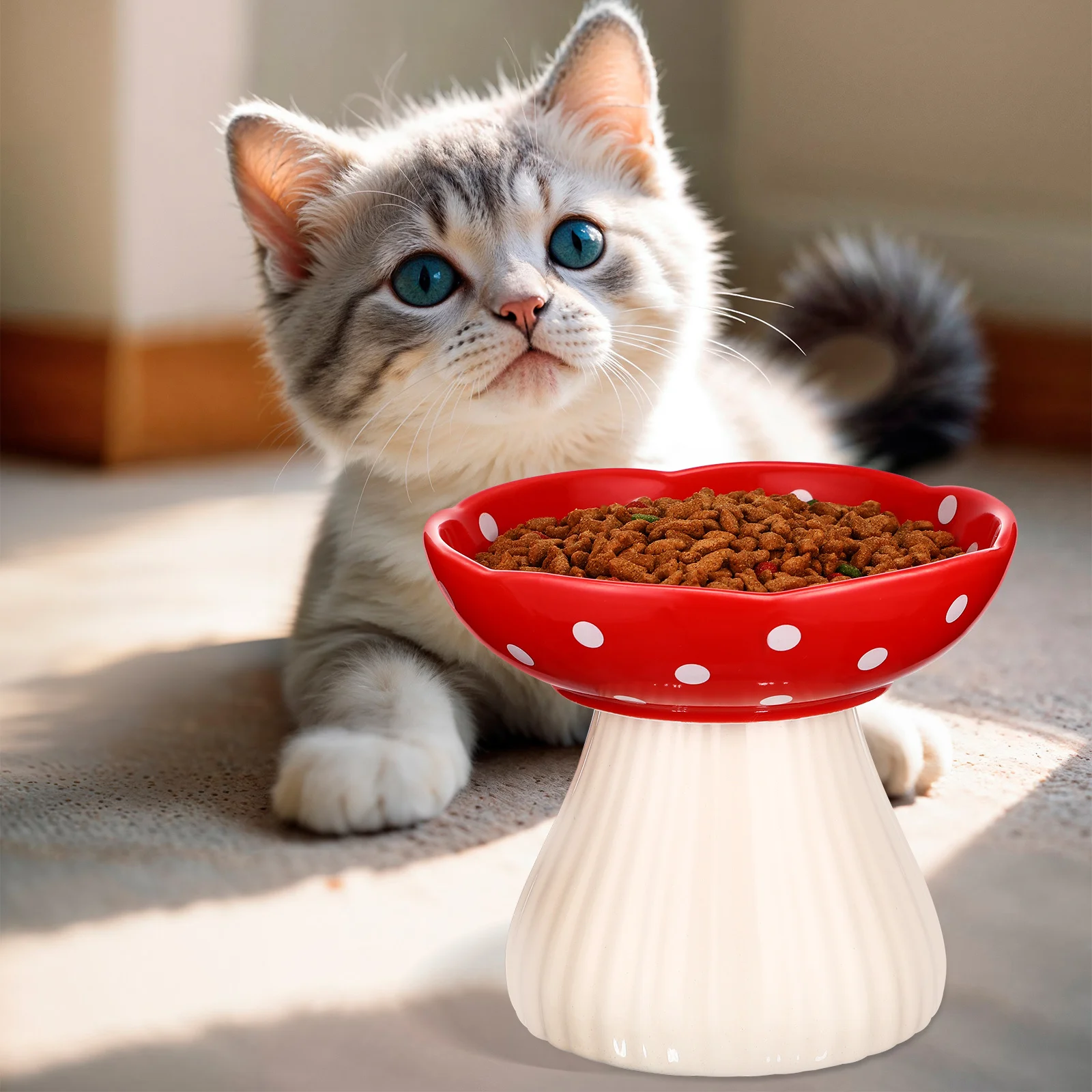 

Pets Cat Dishes for Indoor Cats Elevated Bowls Whisker Friendly Ceramic Red Raised