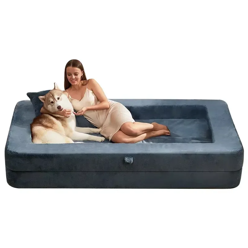 for Modern Style Durable Collapsible Canopy Dog Lounge Chair with Comfortable Seat