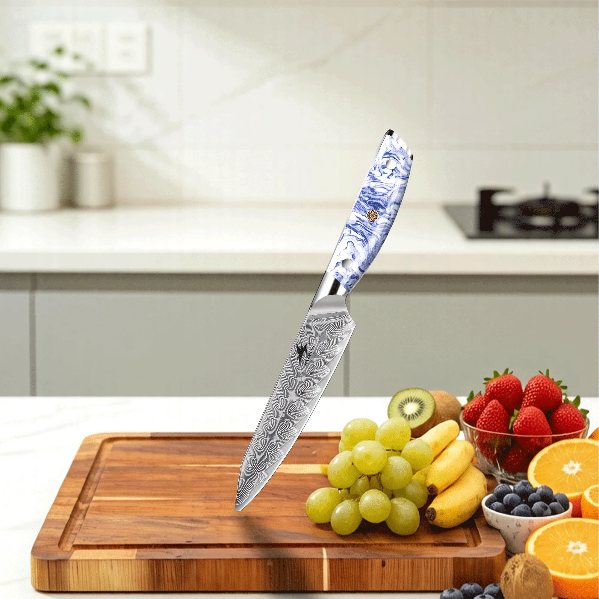 5 Inch Utility Knife Damascus Steel VG10 Cutting Core Ergonomic Resin Handle Japanese Kitchen Chef Knives