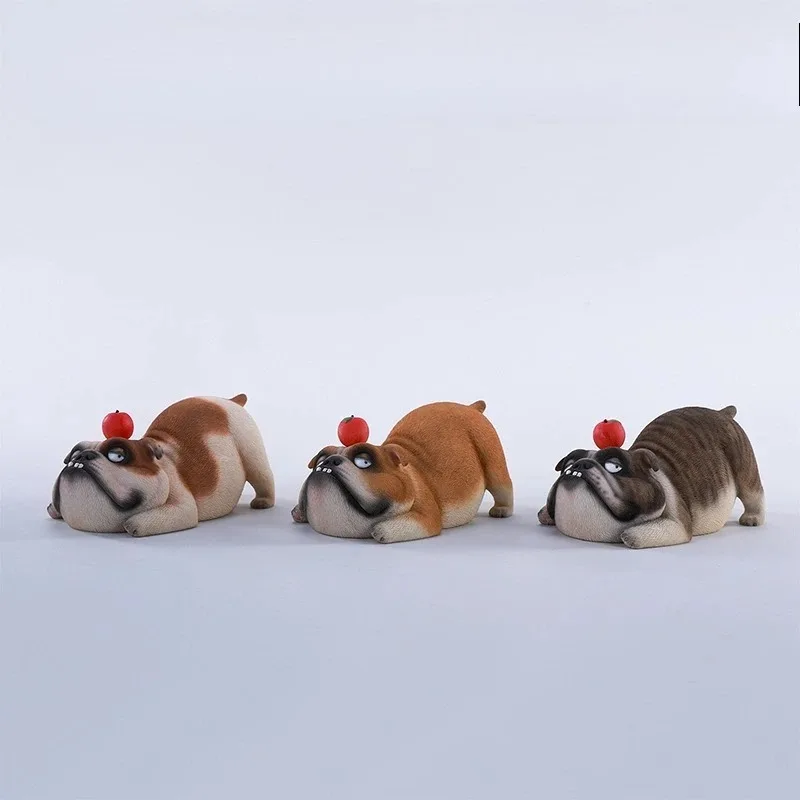 JXK Scala 1/6 Resina Bulldog Britannico Modello di Simulazione Animale Ornamento Brutto Simpatico Cucciolo Modello Fatto Action Figures Ornamento