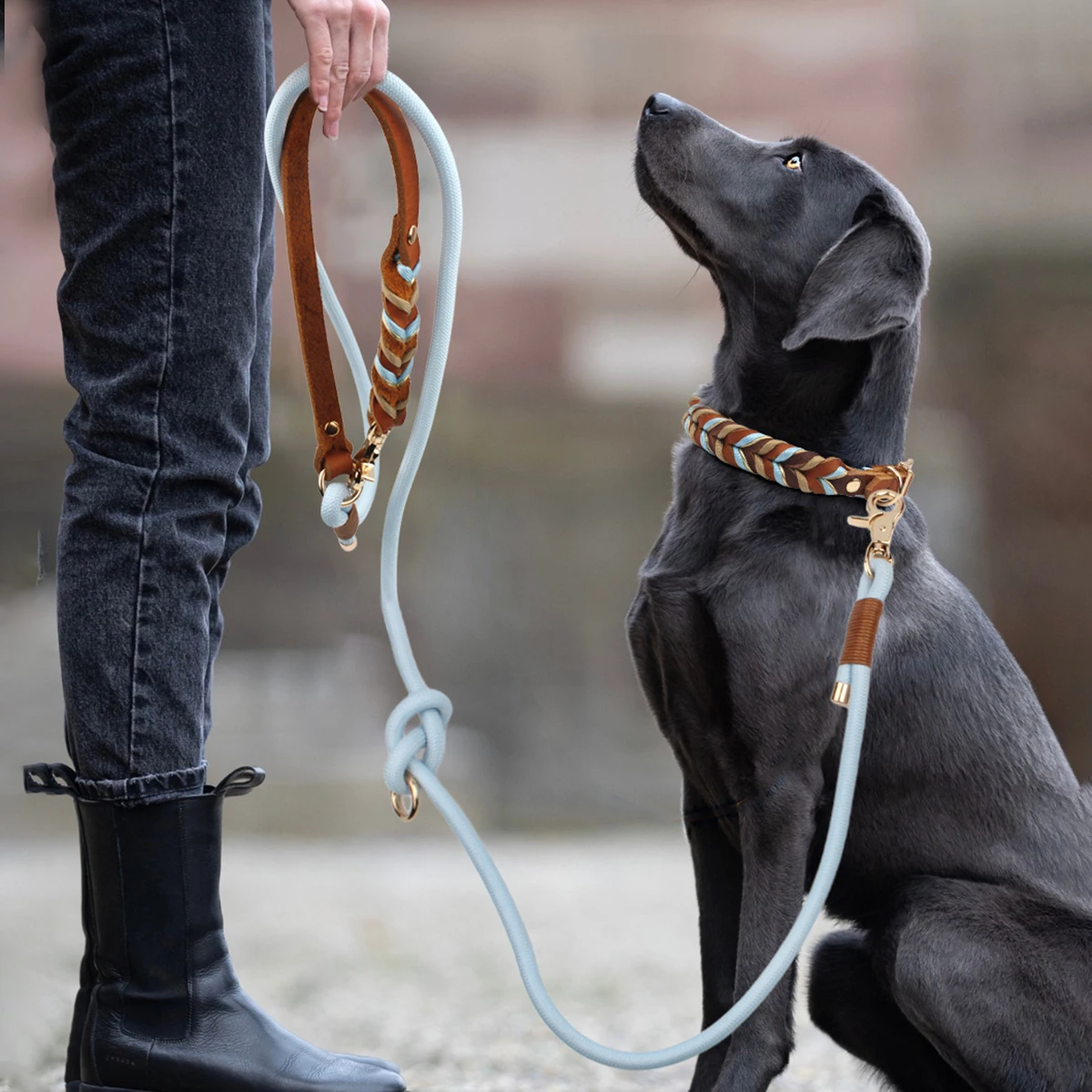 

New Style Leather Leashes And Collars For You Dog Soft Nylon Braided Pet Shepherd Collar Medium Large Dogs Strong Pulling Set