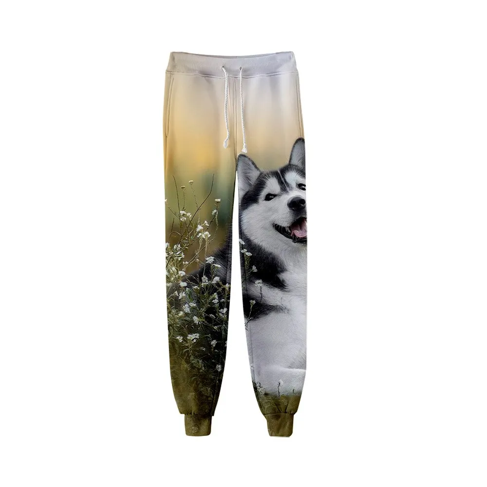 New Animal Dog Husky 3D Print Causal Clothing Fashion Men Women Tracksuits Crewneck Hip Hop Pants Plus Size S-7XL Joggers Men