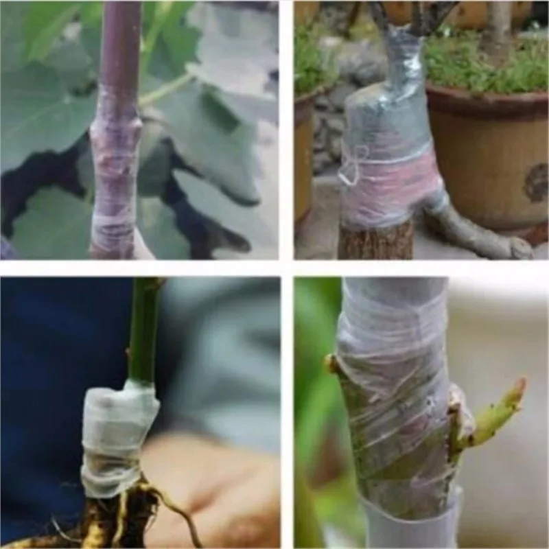 2CM 1 Roll Grafting Tape Garden Tools Nursery Fruit Tree Secateurs Engraft Branch Gardening Bind Belt PVC Tie Tapes C1