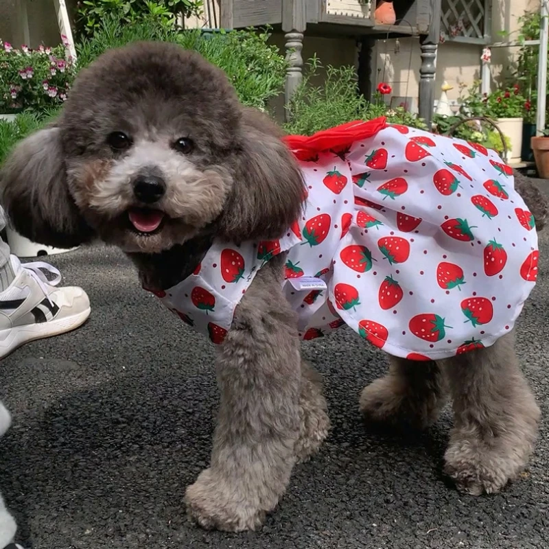 Vestido estampado con lazo para perro, faldas de princesa para Chihuahua, falda para perros pequeños y medianos, vestidos de novia para perros, ropa