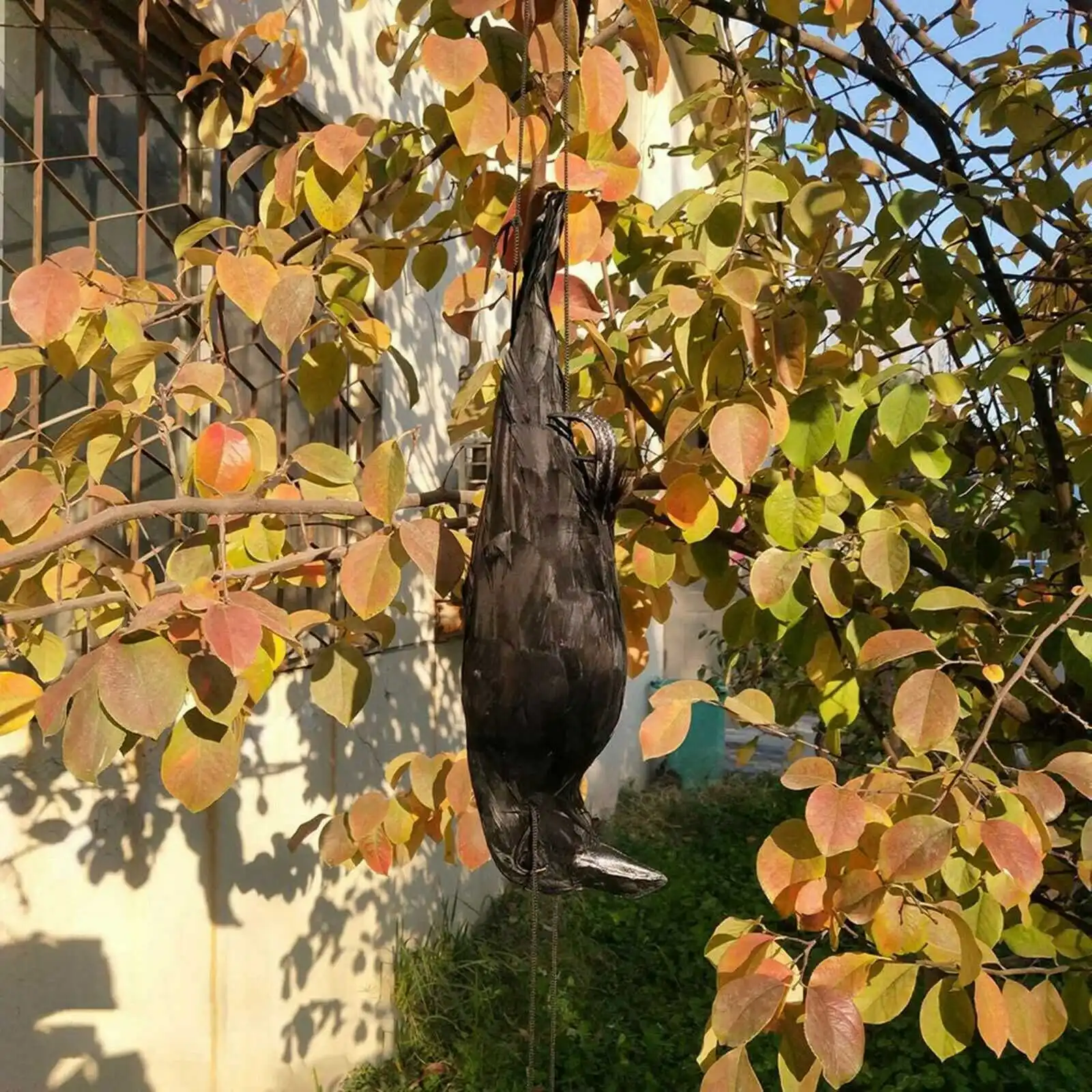 Realistico Hanging Dead Crow Decoy Lifesize Extra Large Black piumed Crow