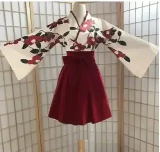 Conjunto de Vestido Largo Suave y Fresco Han Elements, Traje Tradicional Chino para Actuaciones Escénicas