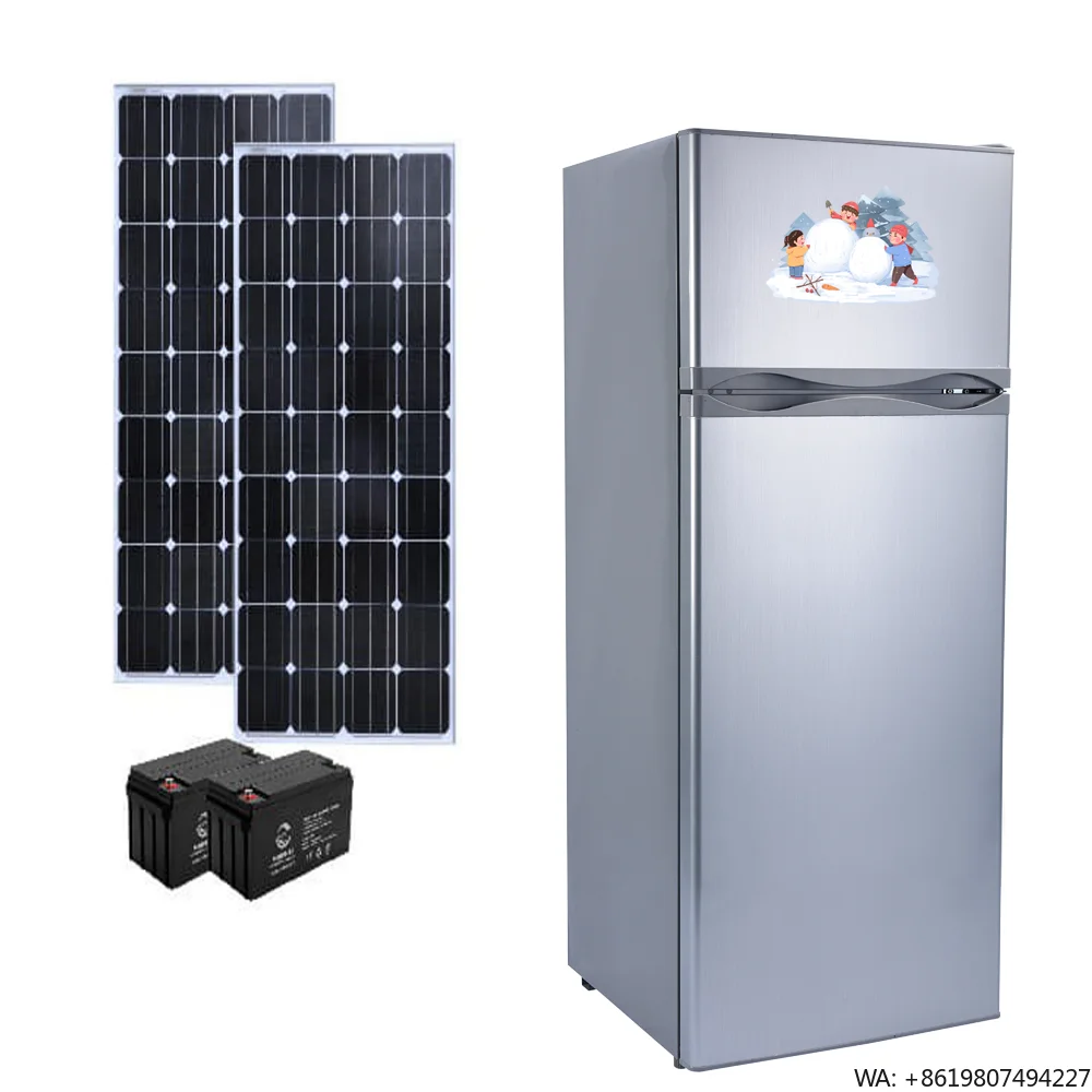 Hot Sales Popular Model of Solar Refrigerator Double Door Upright Fridge 218 Litres with Solar Panel
