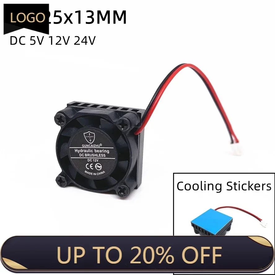 Ventilateur de refroidissement pour Raspberry Pi avec dissipateur thermique, 2507, 25mm, 25x25x13mm, DC 5V, 12V, 24V, m.2, SSD, 2 broches