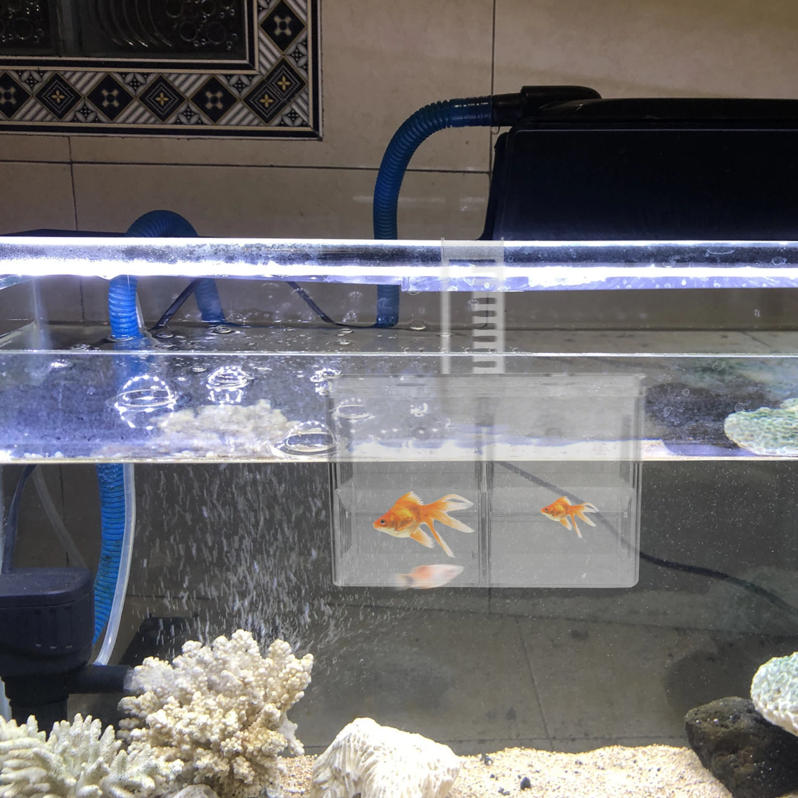 

Hooked Incubation Box Double Rooms Aquarium Breeding Tank Isolation Case PE Material Durable Portable Fish Fry Protection