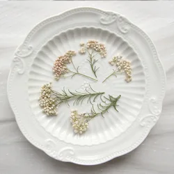 12pcs, Nature Millet Flower Branches, Pressed Dried Flower DIY Glue Drop Mobile Phone Case Plant Photo Frame Flower Bookmark Dec