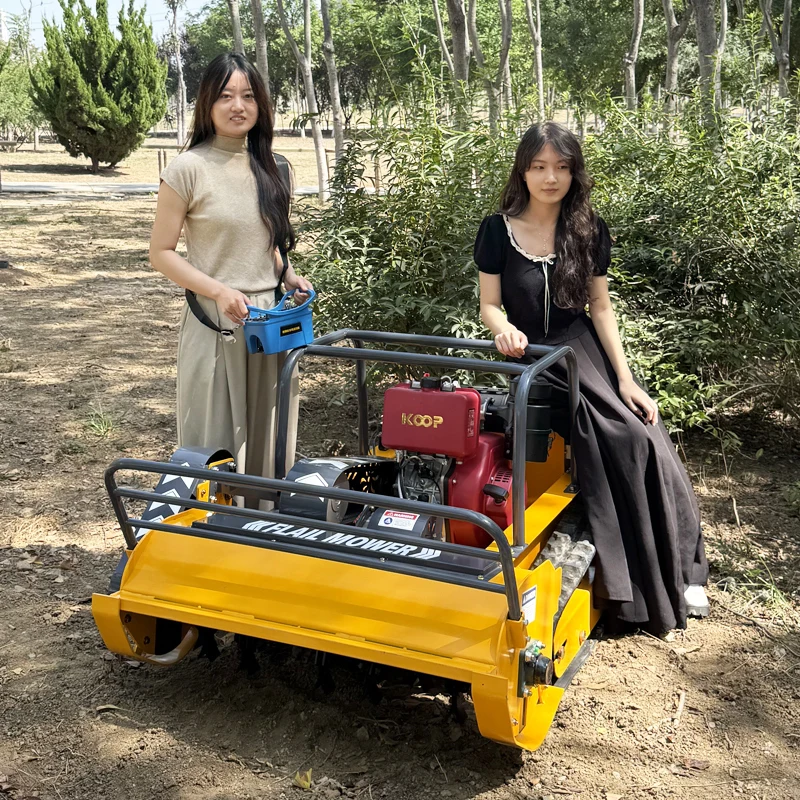 Customized Multifunctional Remote Control Flail Lawn Mower - New RC Tool for Agriculture Farm Garden