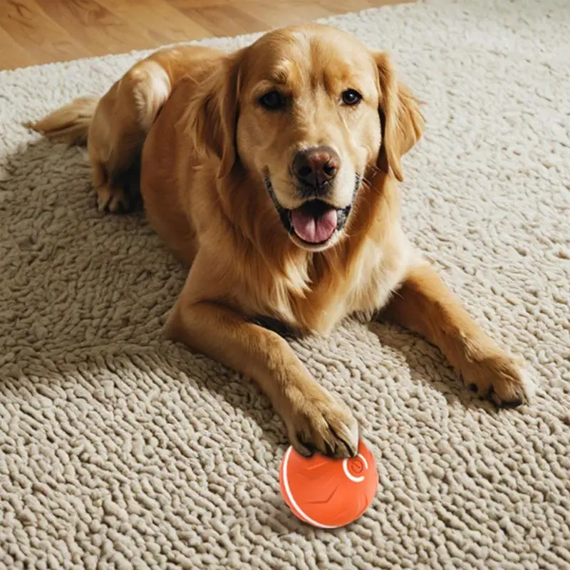 Interactive Dog Toy Ball Automatic Interactive Toy Pet Toy Ball USB Rechargeable Ball Thrower For Dogs Dog Enrichment Toys Pet image 4