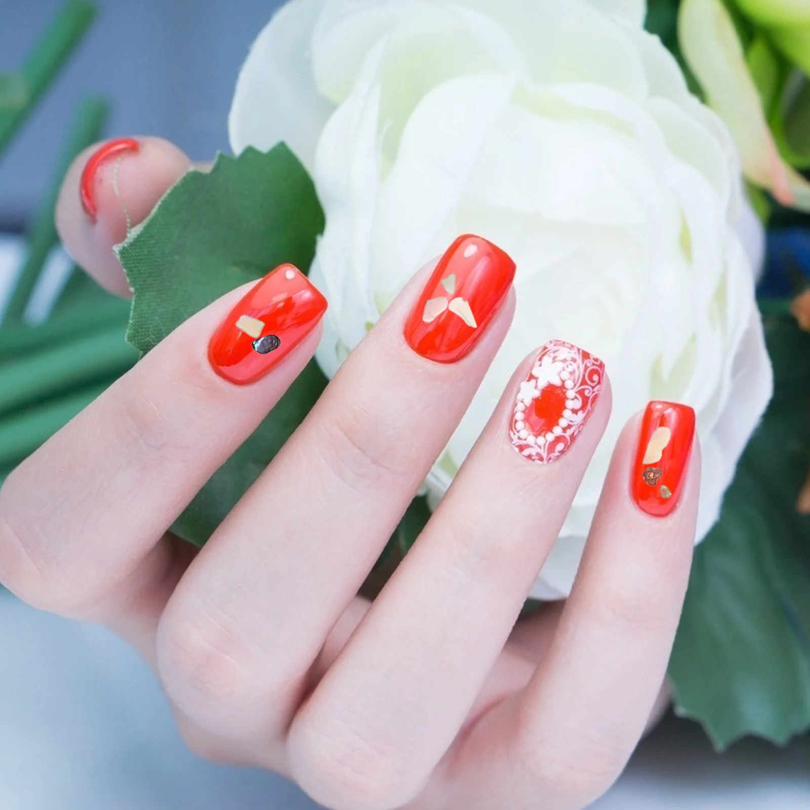 

5 Pcs Shell Sheet Manicure Decoration Nail Art Stickers Jewelry Manicures Charms Stone Sequins