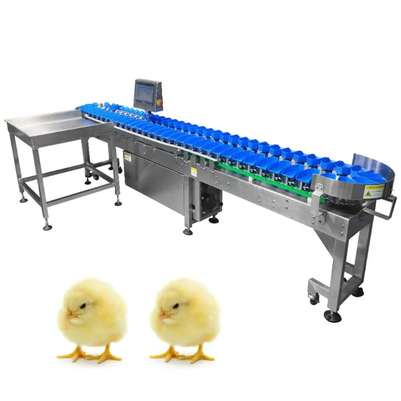Vegetables Fruits Citrus Avocado Garlic Onion Lemon Mango Apple Orange Weight Sorting Grading Machine Sorter Grader 304
