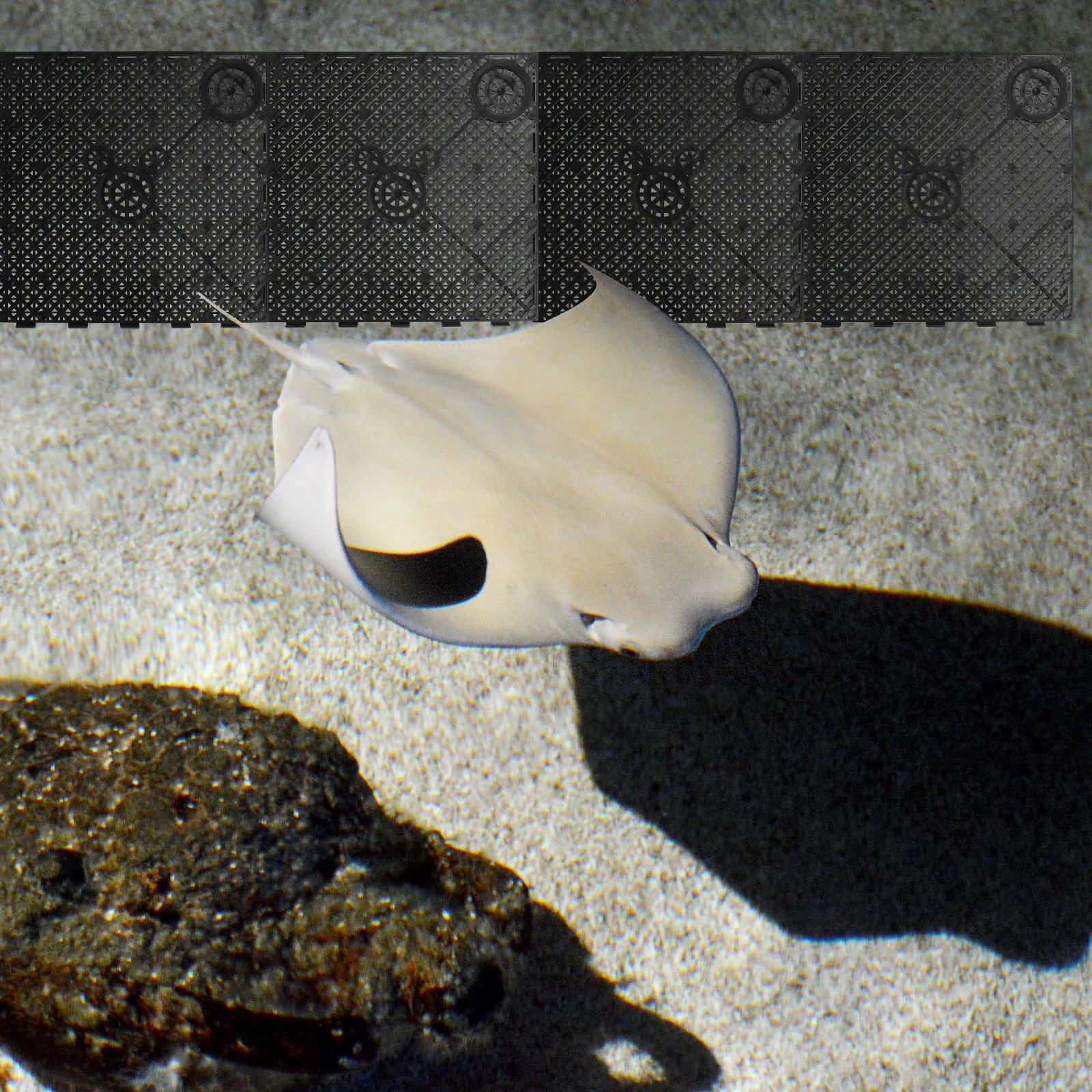 

20Pcs PVC Fish Tank Bottom Filter Plate Black Splicing Combination Clapboard Aquarium Bottom Filter Tray for Fish