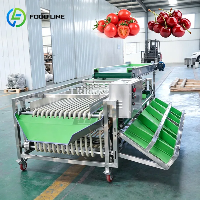 Fruit Grader Size Sorting Machine Produce Sorter for Apple Pear Orange Avocado Kiwi Peach Customized
