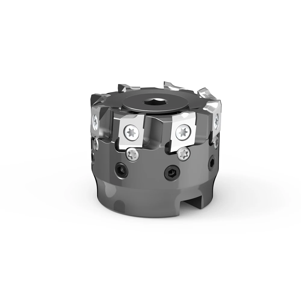 Worldia Pcd Indexab…