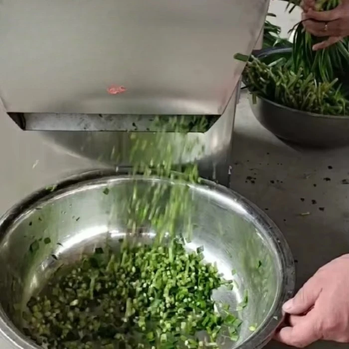 Multifunctional green onion vegetable cutter vegetable fruit cutter