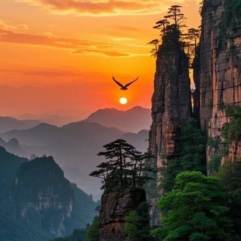 

JX Servo PDI-5521MG 20KG Servo High Precision Metal Gear Digital Standard Servo For RC Airplane Aircraft Glider Boat 1/10Car Toy