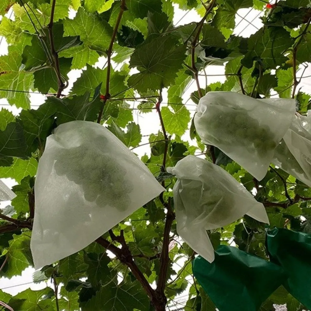 

100 шт. нетканых мешков для защиты фруктов от птиц, дышащие сетчатые мешки для питомников, защита от солнца и насекомых, для виноградников