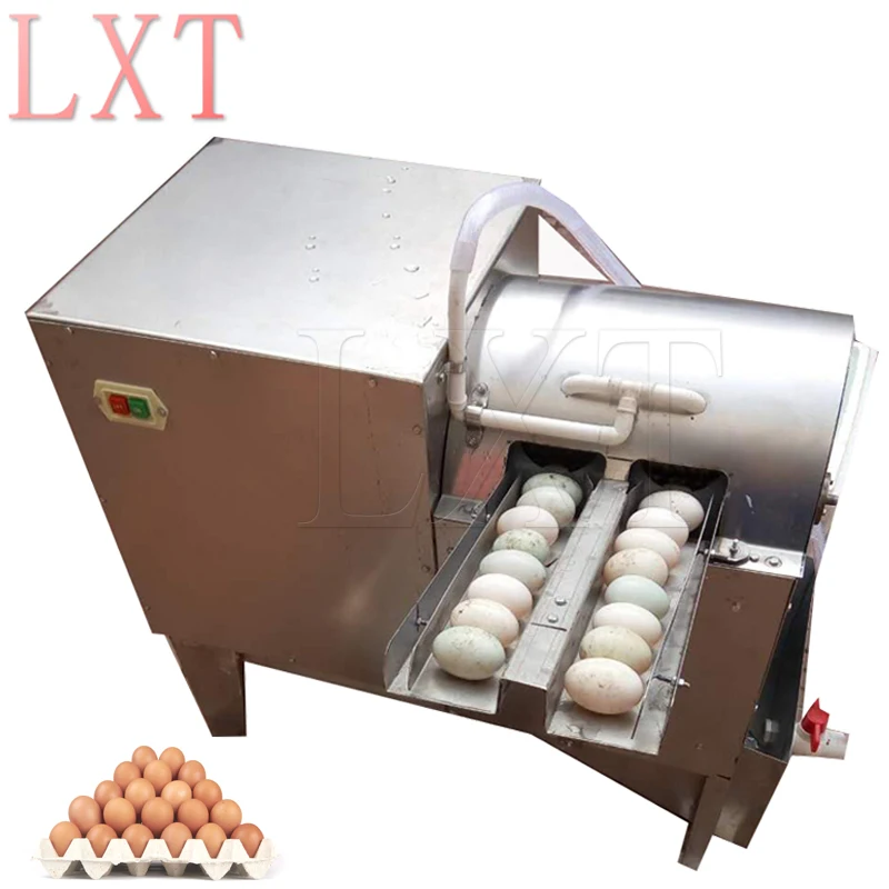 

Stainless Steel Brush Washing Egg Machine Cleaning Dirty Duck Eggs Machine Poultry Egg Washer Cleaner