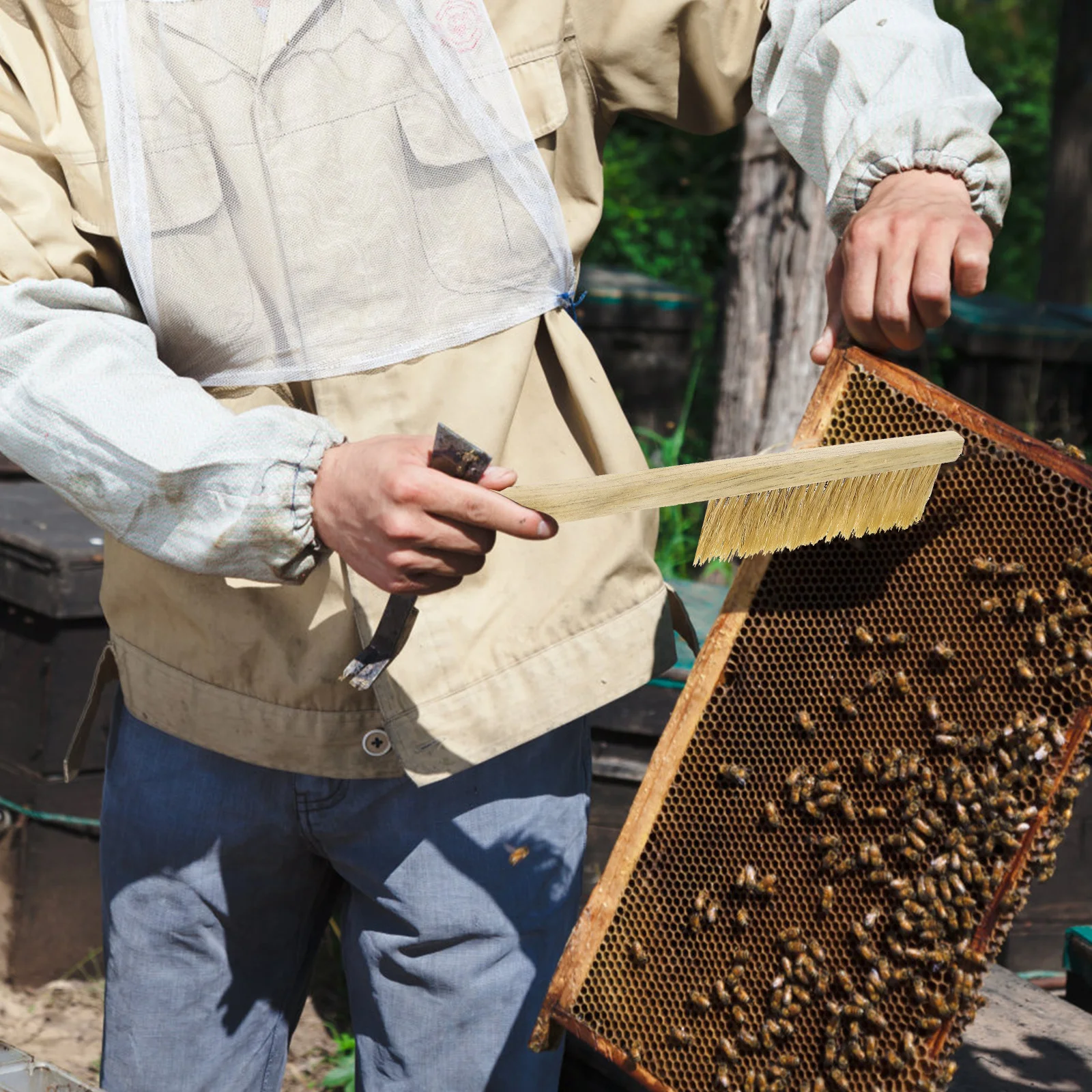 

Wooden Handle Durable Compact Size Lightweight Design Convenient Beekeping Tool Bee Hive Brush Supplies