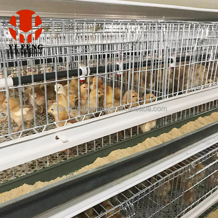 

Small Chicken Cage Design 10000 Layer Chickens Farm Bird Cage for Sale H Type Chicken Cage